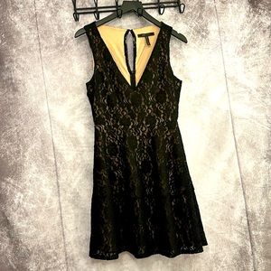 BCBG Lacy Little Black Dress